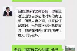 马山婚姻调查：无效或者被撤销的婚姻的法律后果